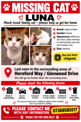 Reunited Female Cat last seen Hereford Way, Middleton, England M24 2TN