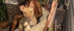 Found/Stray Female Dog last seen Near 2nd ave south, Nashville, TN 37210