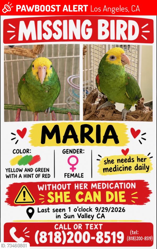 Lost Female Bird last seen Near De Garmo, Los Angeles, CA 91605
