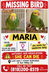 Lost Female Bird last seen Near De Garmo, Los Angeles, CA 91605