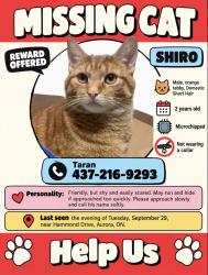 Lost Male Cat last seen Bathurst St & Wellington St W, Aurora, ON L4G 2T8