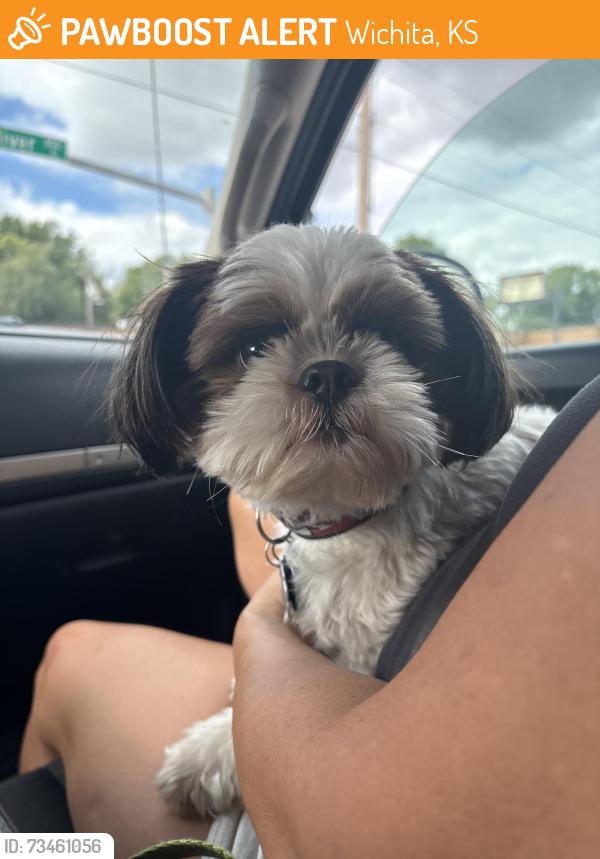 Found/Stray Male Dog last seen Pawnee and Rock, Wichita, KS 67210