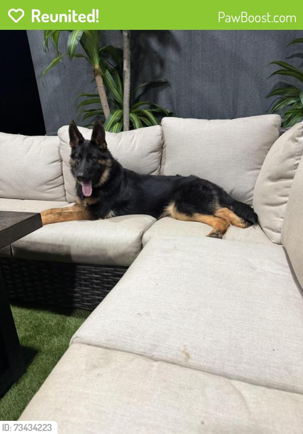 Reunited Male Dog last seen Veterans memorial and post, Douglasville, GA 30187