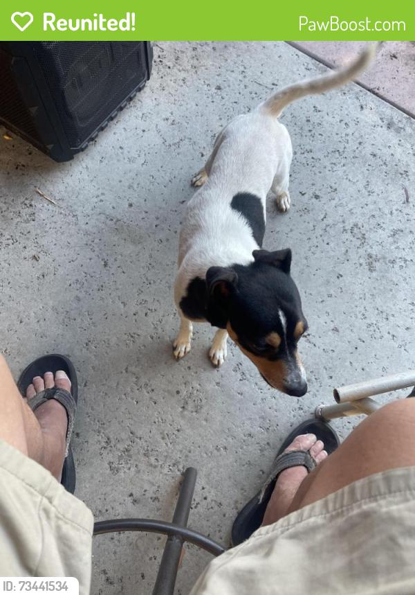Reunited Male Dog last seen Suncrest Ave and Suncrest Ct, Oceanside, CA 92056