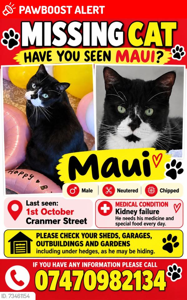 Lost Male Cat last seen LE3 0QA, Leicester, England LE3 0QA