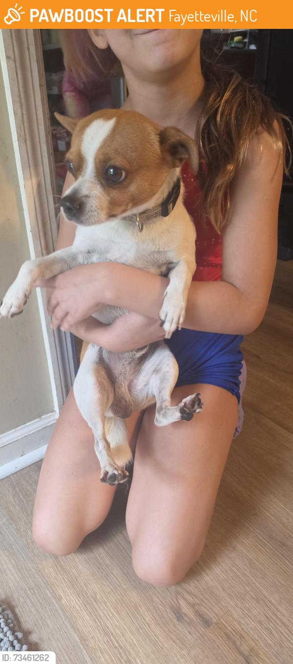 Found/Stray Male Dog last seen Strickland bridge Dundle tarleton plantation, Fayetteville, NC 28306