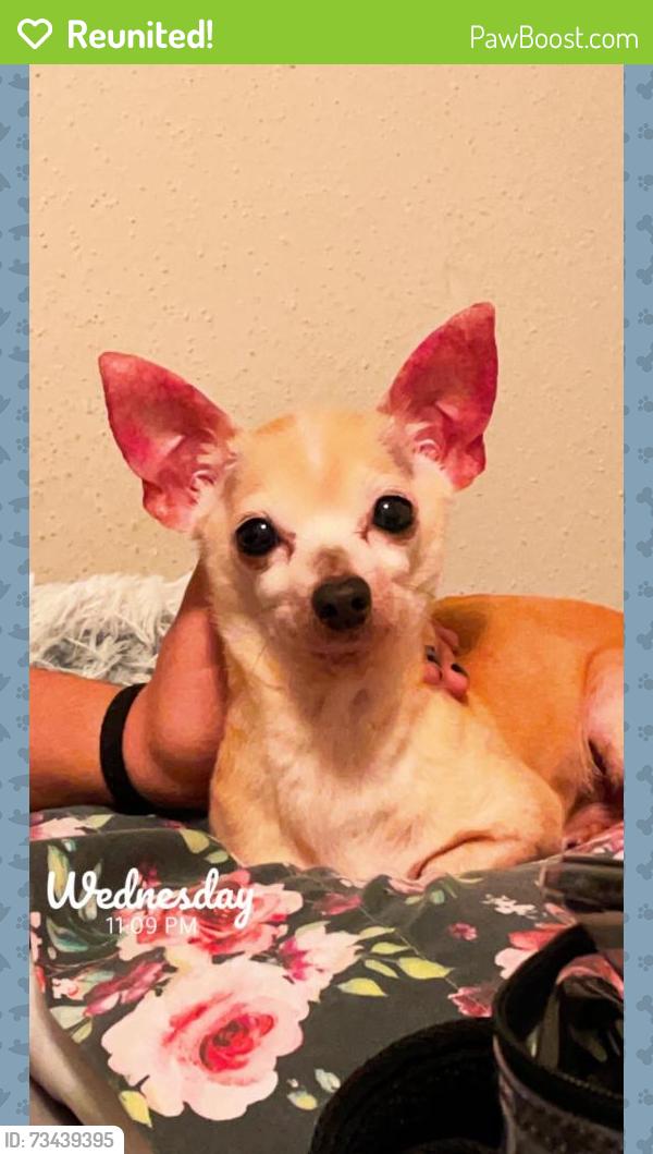 Reunited Male Dog last seen Near Jaycreek Dr, Houston, TX 77070, USA, Houston, TX 77070