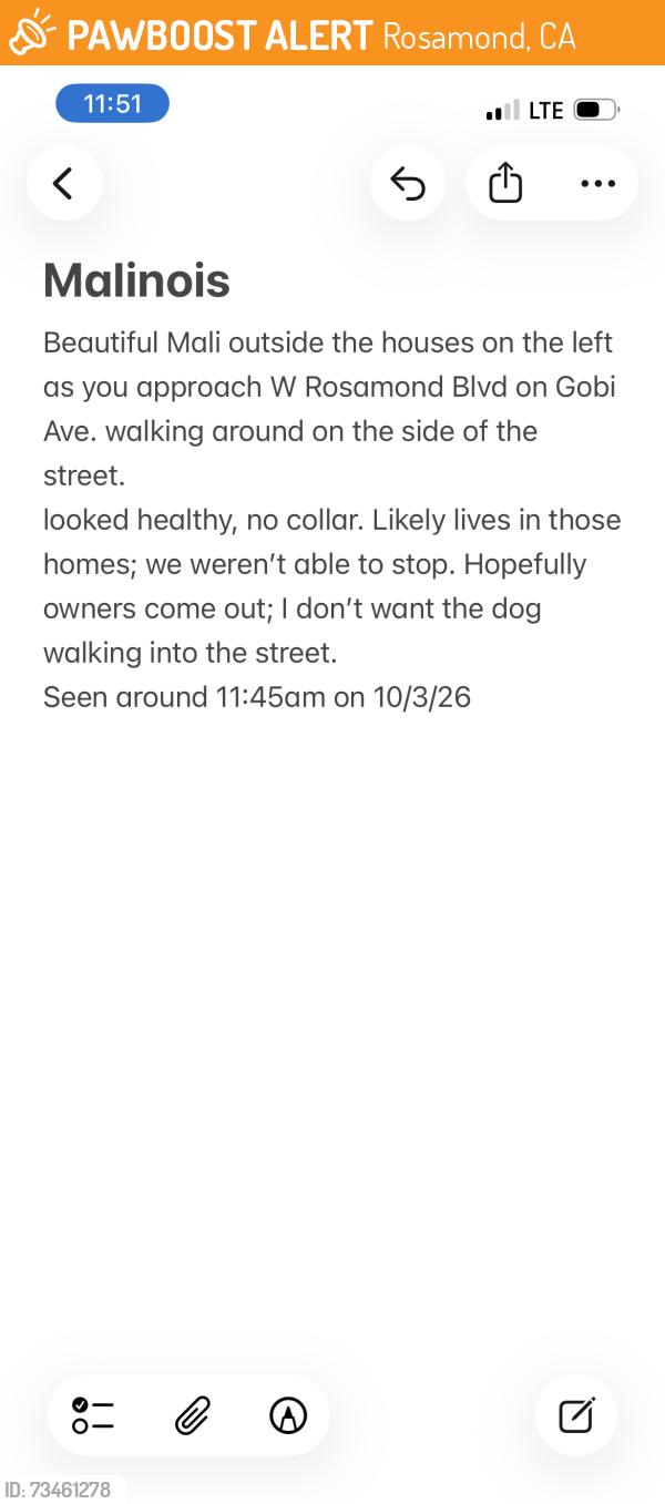 Found/Stray Unknown Dog last seen W Rosamond blvd and Gobi ave, Rosamond, CA 93560