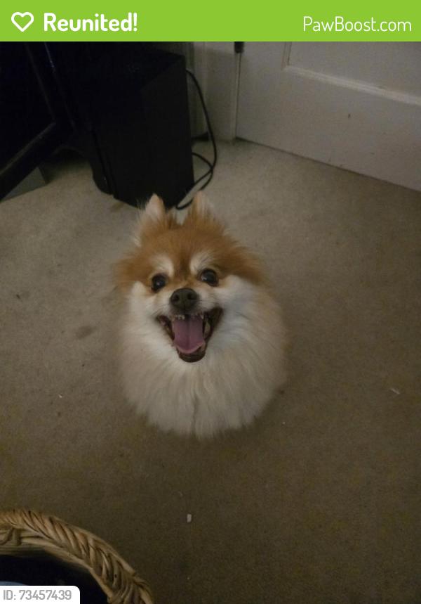 Reunited Unknown Dog last seen Earl and Hawthorne, Saint Paul, MN 55106