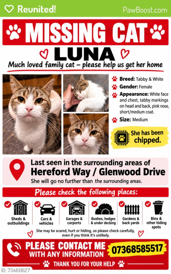 Reunited Female Cat last seen Hereford Way, Middleton, England M24 2TN