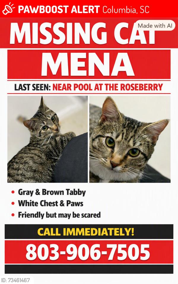 Lost Female Cat last seen Near park, Columbia, SC 29223