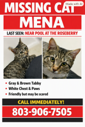 Lost Female Cat last seen Near park, Columbia, SC 29223