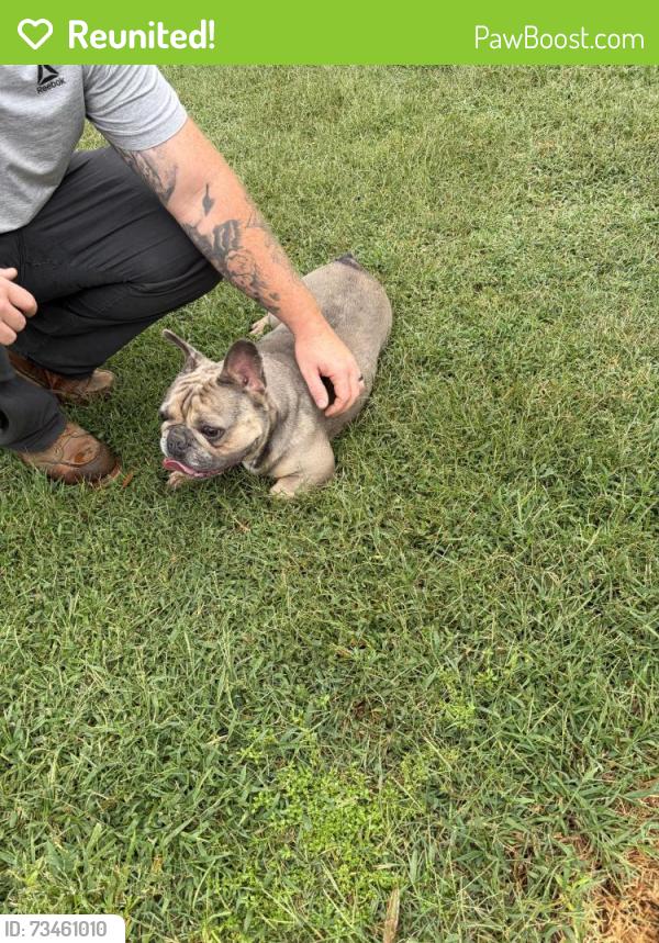Reunited Male Dog last seen Kay Avenue, Chesapeake, VA 23324