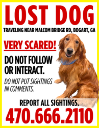 Lost Male Dog last seen Malcomb Bridge Rd, Bogart GA, Bogart, GA 30622