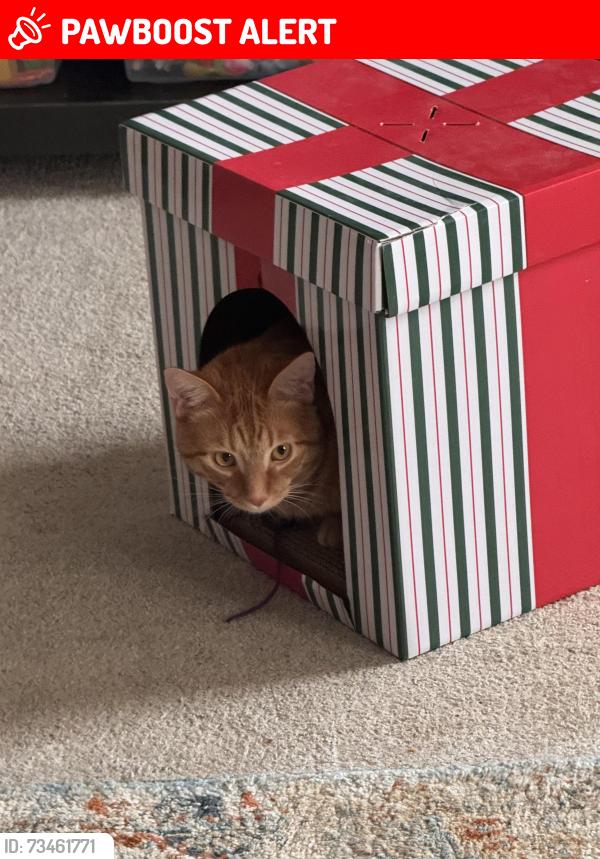 Lost Male Cat last seen Endeavor elementary, West Chester Township, OH 45069