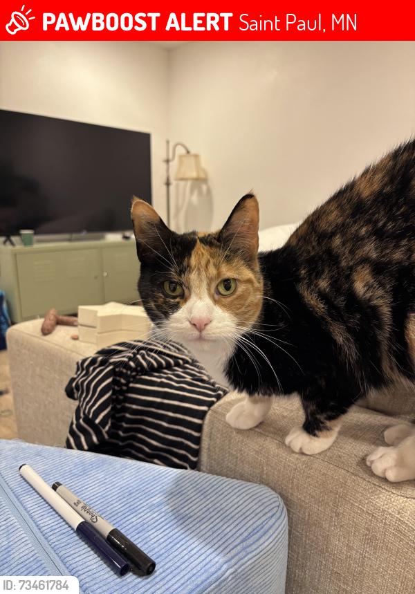 Lost Female Cat last seen North Dale Tec Center, Saint Paul, MN 55117