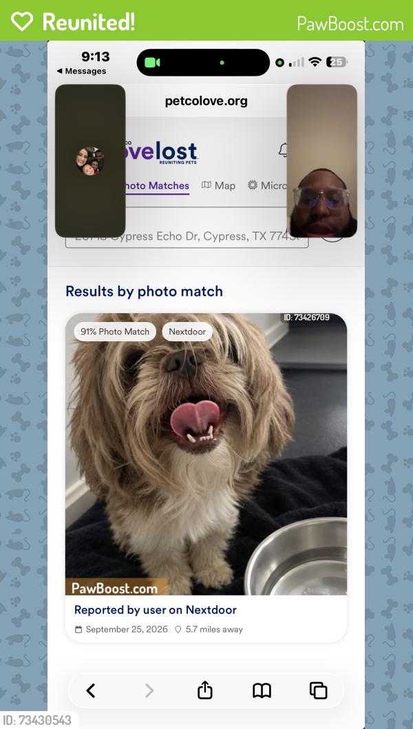 Reunited Male Dog last seen Cypress Echo, Cypress, TX 77433