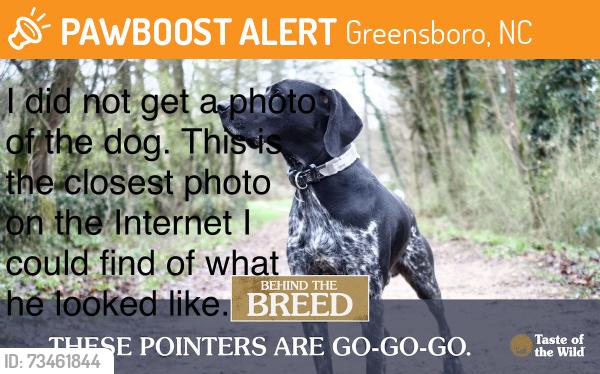Found/Stray Unknown Dog last seen Closest cross street is Gate city blvd, Greensboro, NC 27401