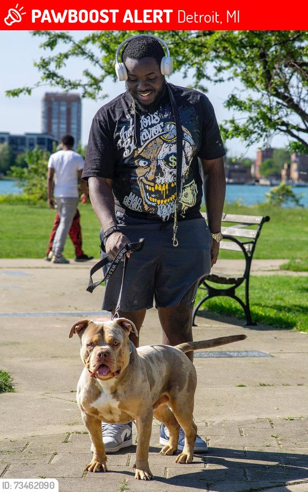 Lost Male Dog last seen Osborn high school, Detroit, MI 48205