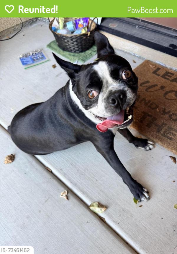 Reunited Unknown Dog last seen Rosedust Glen Drive & 4S Parkway, San Diego, CA 92127