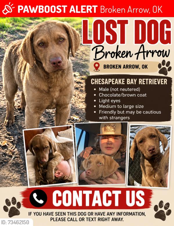 Lost Male Dog last seen Granger, Broken Arrow, OK 74012