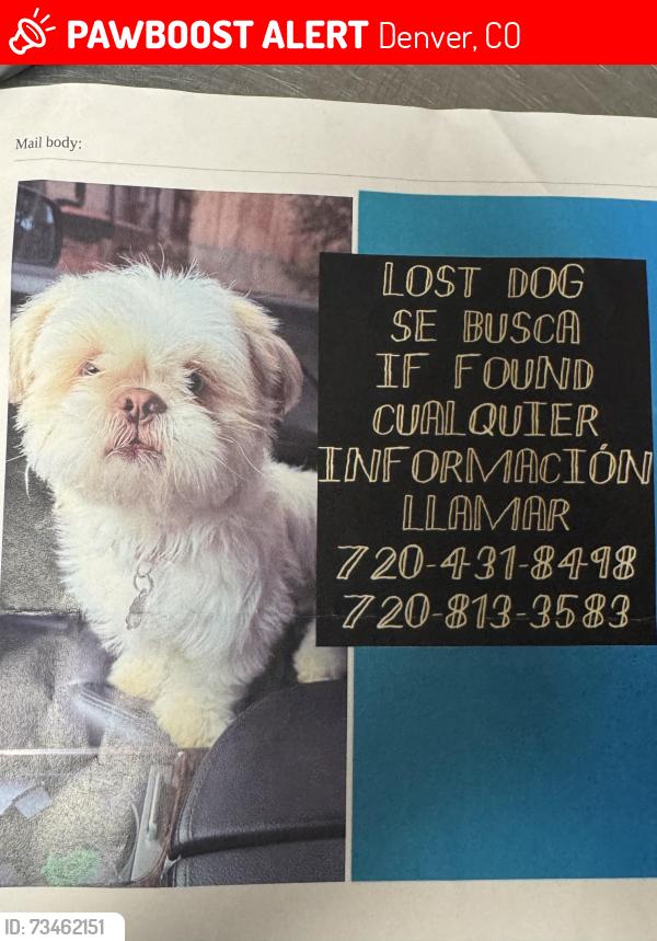 Lost Male Dog last seen Tennessee and quivas, Denver, CO 80219