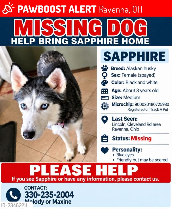Lost Female Dog last seen Cleveland rd and. Wall st, Ravenna, OH 44266
