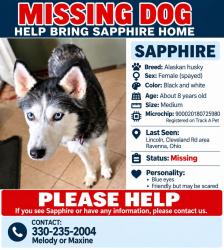 Lost Female Dog last seen Cleveland rd and. Wall st, Ravenna, OH 44266