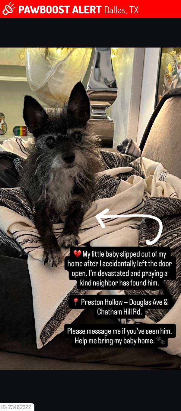 Lost Male Dog last seen Dallas, Dallas, TX 75201