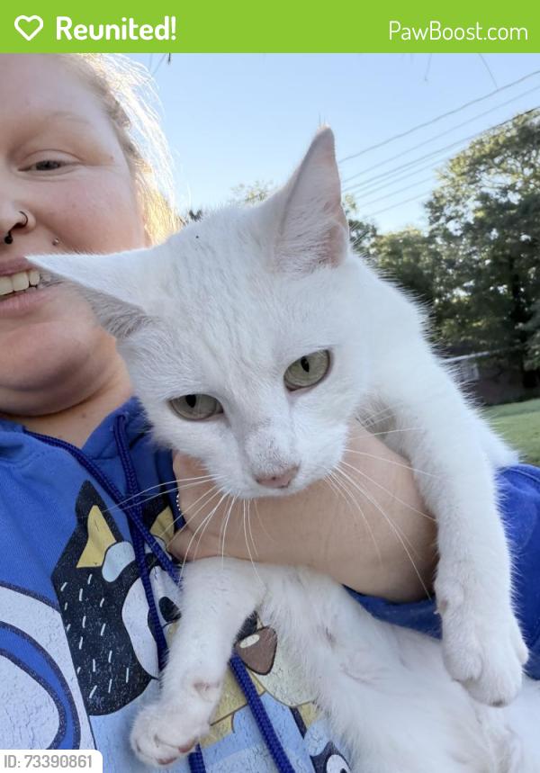 Reunited Female Cat last seen Stratford rd , E Fairfield rd, Greenville, SC 29605