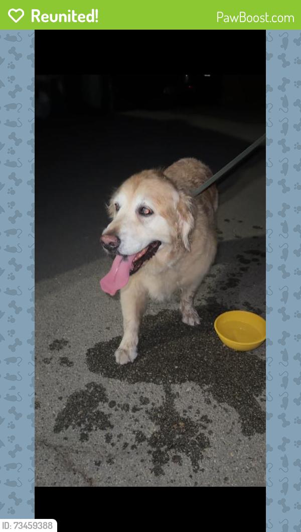 Reunited Unknown Dog last seen Near Hygeia Ave, Encinitas, CA 92024, USA, Encinitas, CA 92024