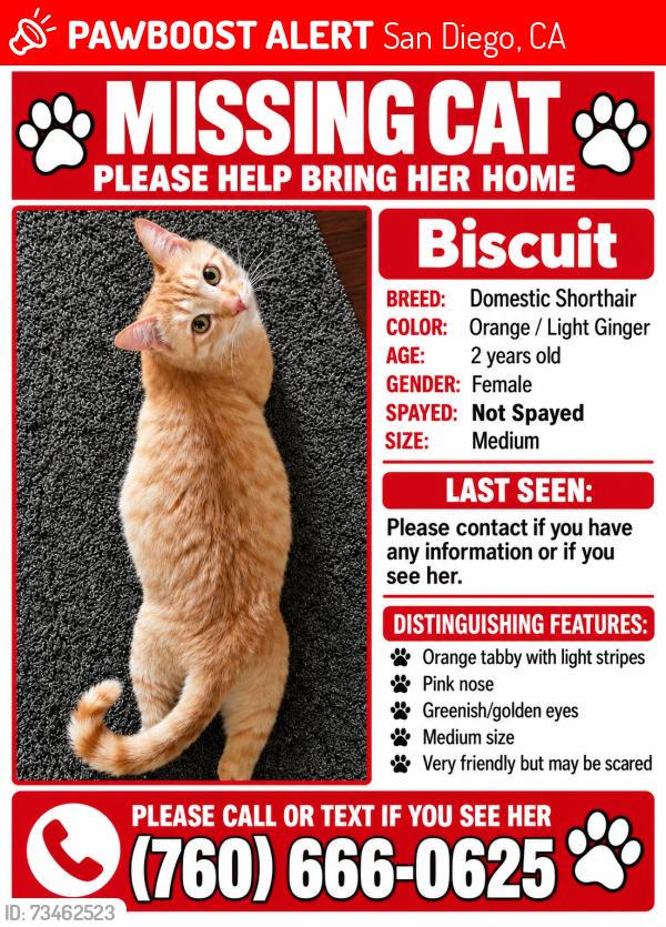 Lost Female Cat last seen Near Adelaide ave, San Diego, CA 92115