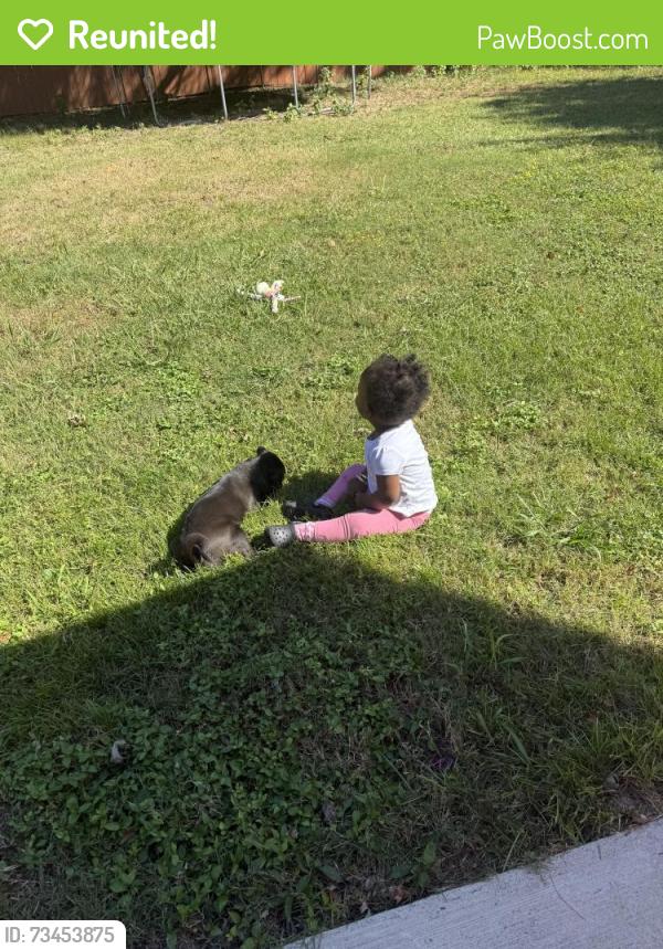 Reunited Male Dog last seen Foxhill RD, Hampton, VA 23669