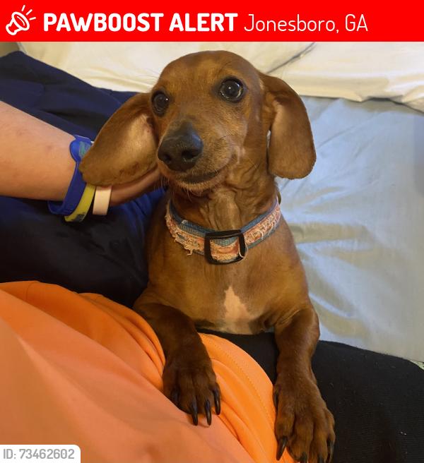 Lost Male Dog last seen Lake Jodeco rd, Jonesboro, GA 30236