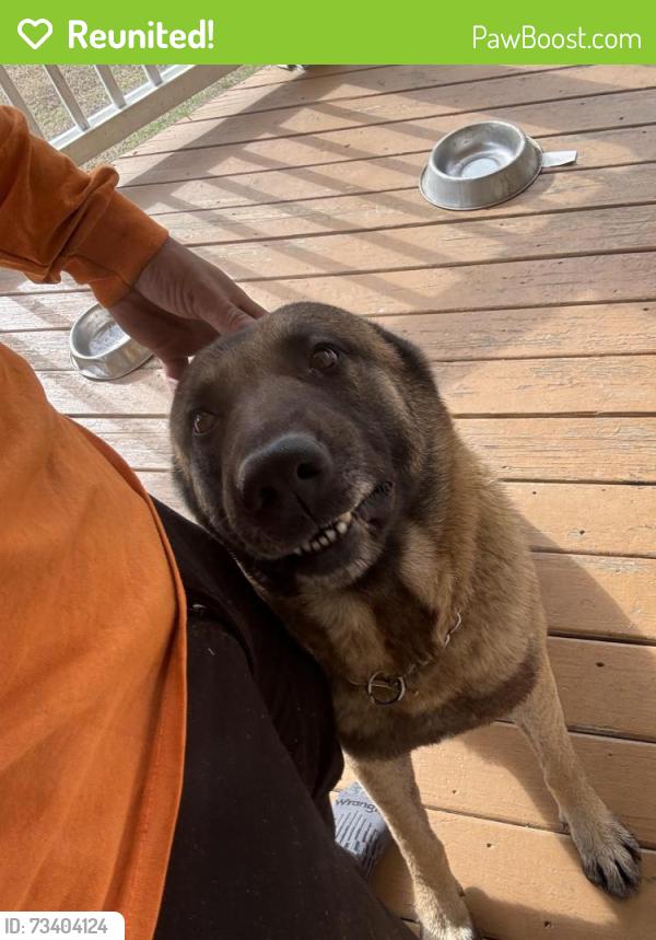 Reunited Male Dog last seen Dogwood Truck Sales, Conyers, GA 30012