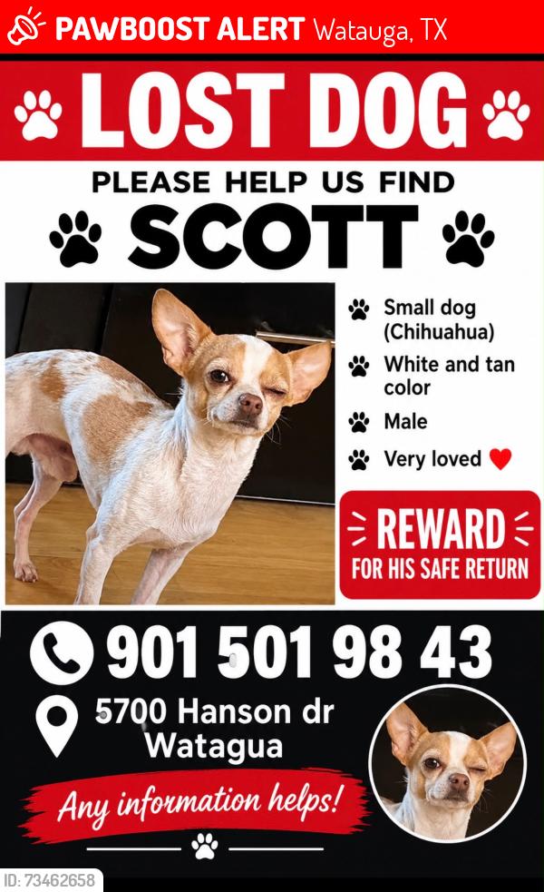 Lost Male Dog last seen Hanson Dr, lalagray Ln, Watauga, TX 76148