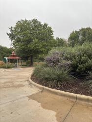 Found/Stray Male Cat last seen By the pond/playground, Plano, TX 75025