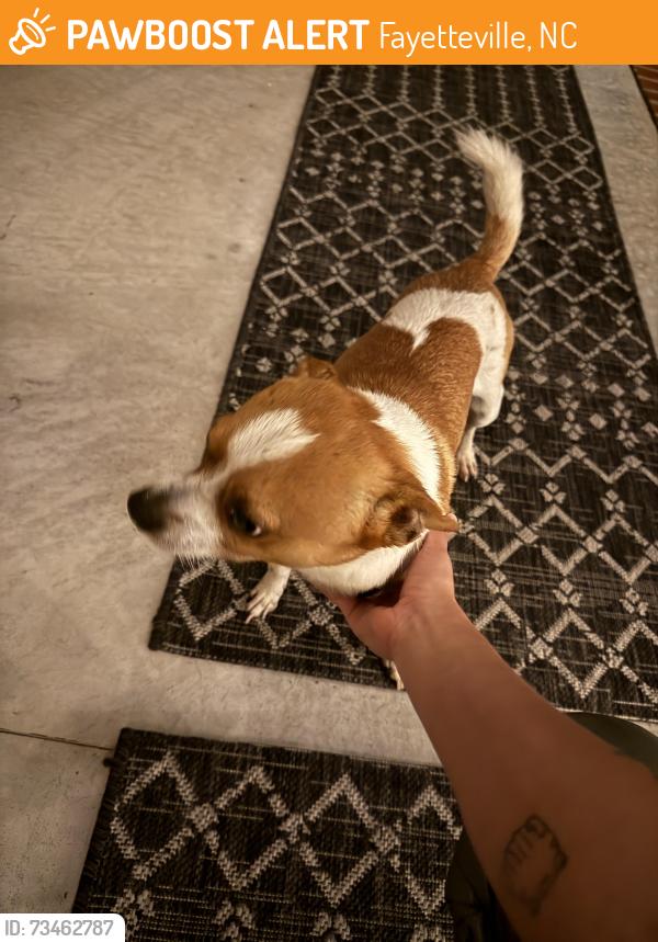 Found/Stray Male Dog last seen Tarleton plantation, Fayetteville, NC 28306
