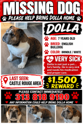 Lost Male Dog last seen CASTLE ROUGE AREA, Detroit, MI 48223