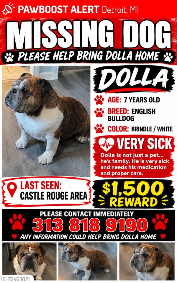 Lost Male Dog last seen CASTLE ROUGE AREA, Detroit, MI 48223