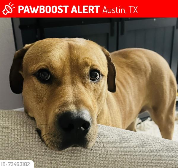 Lost Male Dog last seen McKinney Falls State Park, Austin, TX 78744