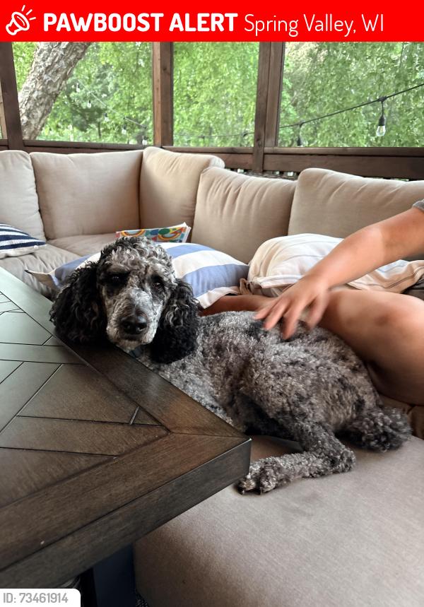 Lost Male Dog last seen Highland Ridge Campground, Spring Valley, WI 54767