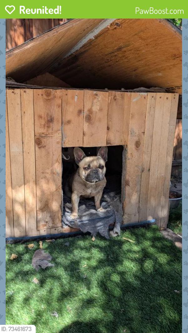 Reunited Male Dog last seen Richard hastie park, Tracy, CA 95377