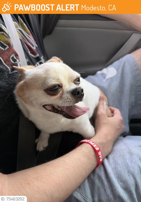Found/Stray Male Dog last seen Near Laramie Dr, Modesto, CA 95355