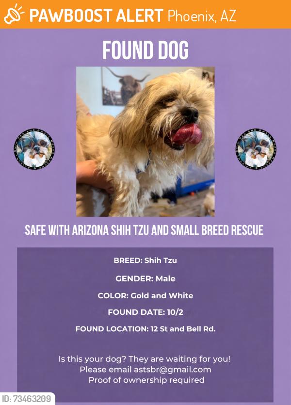 Found/Stray Male Dog last seen 12th st and bell rd, Phoenix, AZ 85022