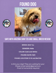 Found/Stray Male Dog last seen 12th st and bell rd, Phoenix, AZ 85022