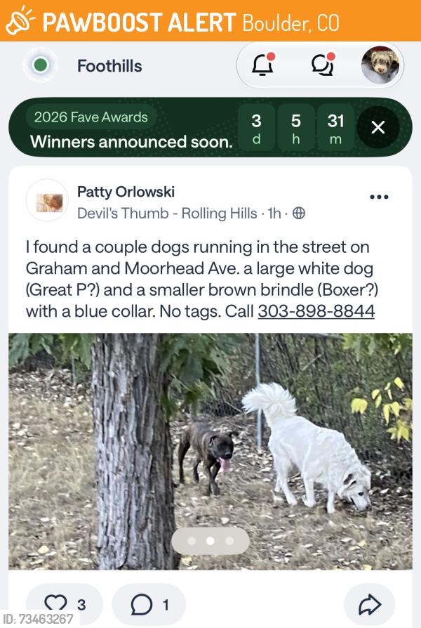 Found/Stray Unknown Dog last seen Moorhead Ave and Graham Ct, Boulder, CO 80305