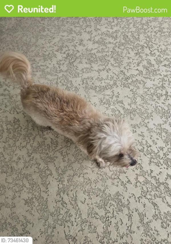 Reunited Unknown Dog last seen Barker Cypress & Tuckerton, Houston, TX 77433