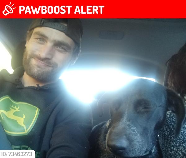 Lost Female Dog last seen Na, Boundary County, ID 83847