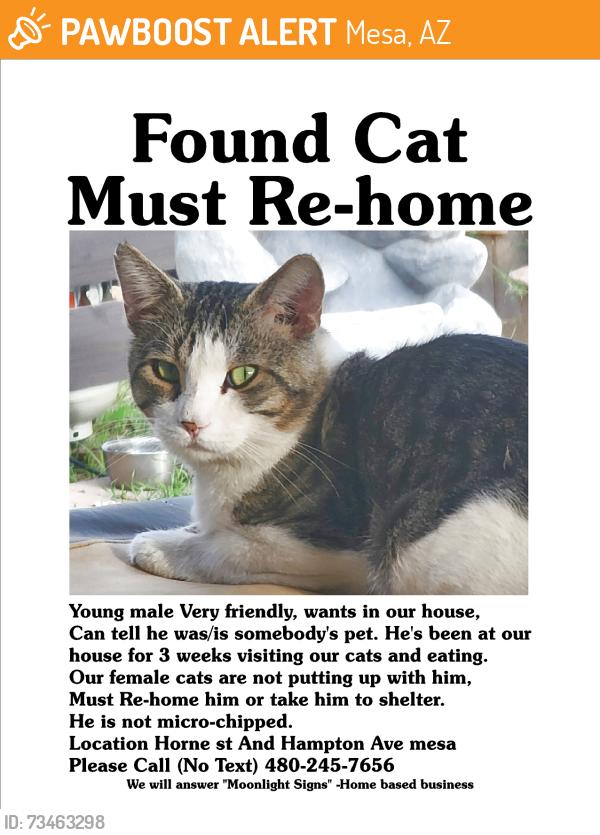 Found/Stray Male Cat last seen Horne St. Between Southern and the 60, Mesa, AZ 85204
